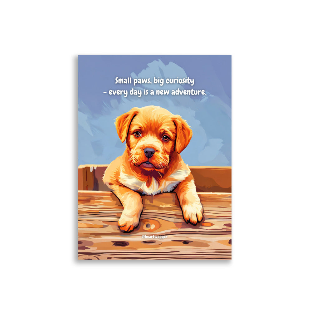 Poster - Small paws, big curiosity - every day is a new adventure