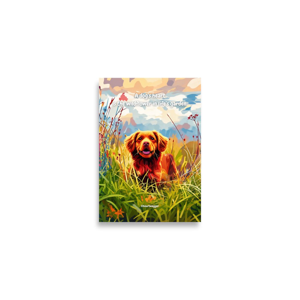 Poster - A dog’s heart is the wildflower in life’s garden - SHALMIAK