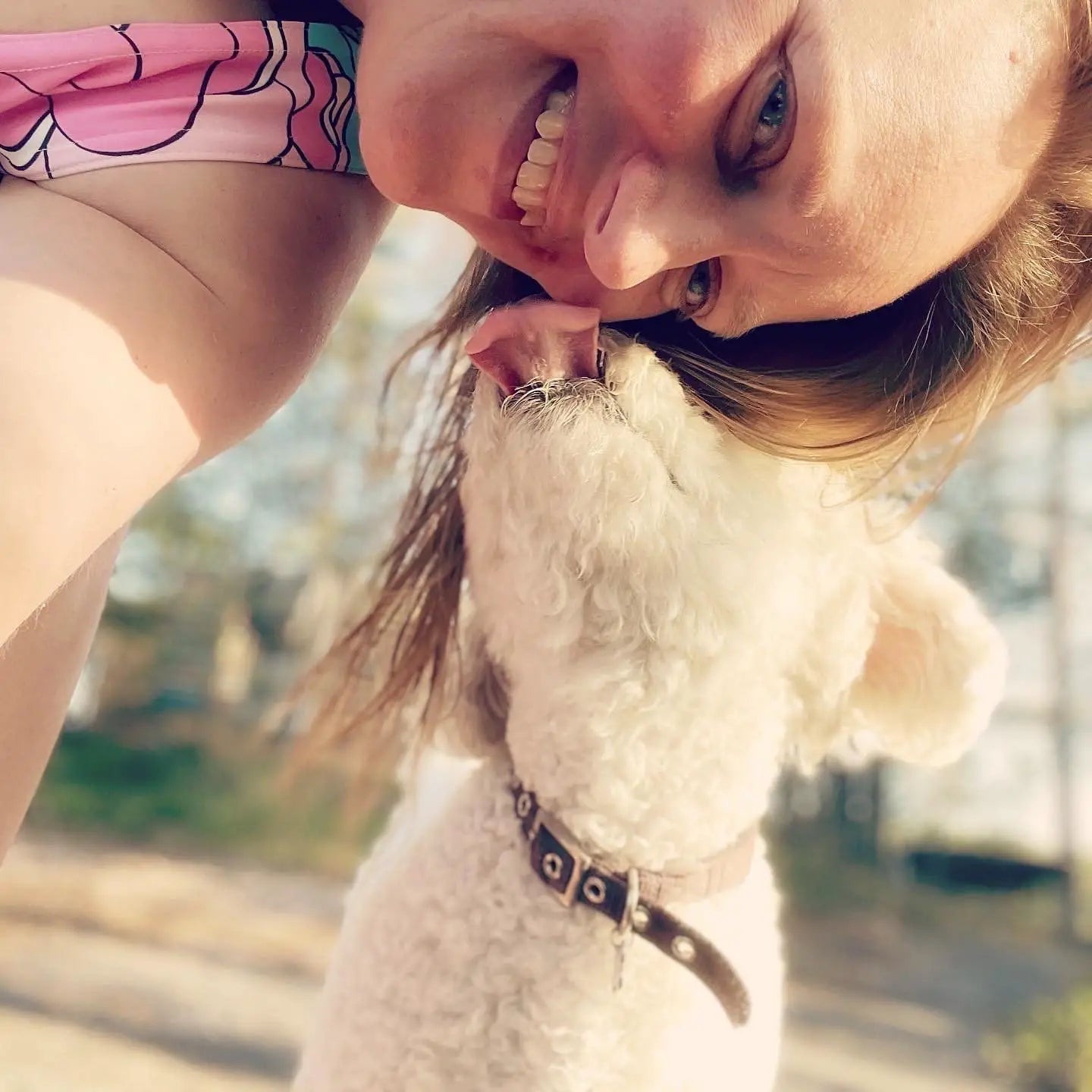 From end to start - story 6