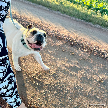 DOG BREED LEGGINGS with pockets - BULLDOG ENGLISH BOSTON - HERTTAHOUND - SHALMIAK