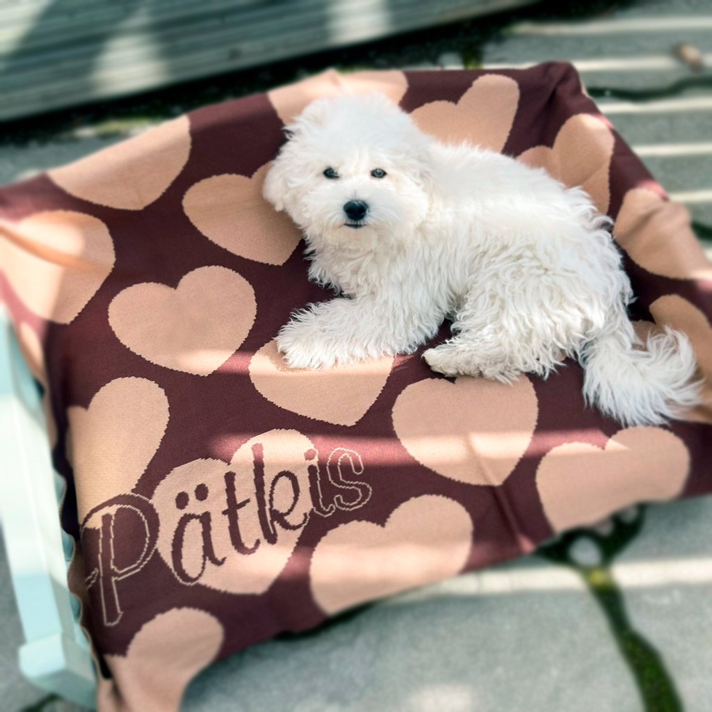 Personalized knitted blanket and a dog called Pätkis.
