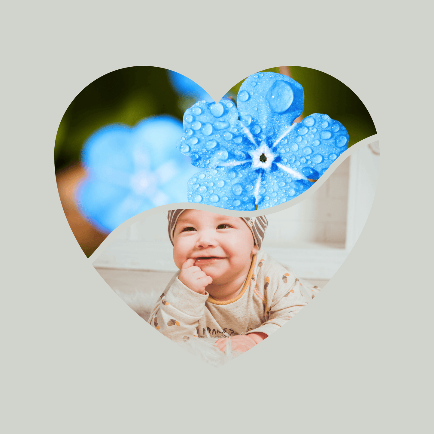 Canva Templates - Frames - Hearts - SHALMIAK