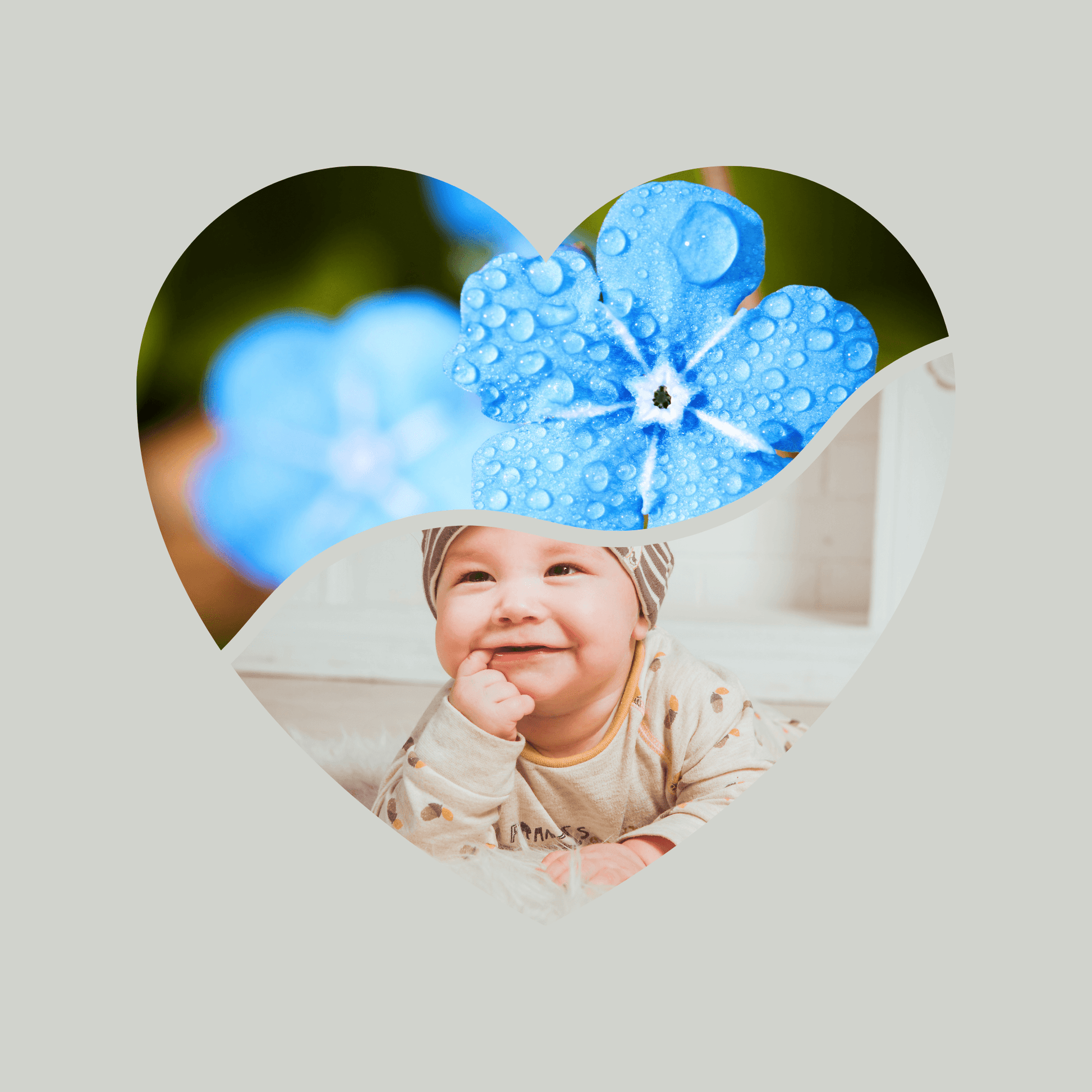 Canva Templates - Frames - Hearts - SHALMIAK