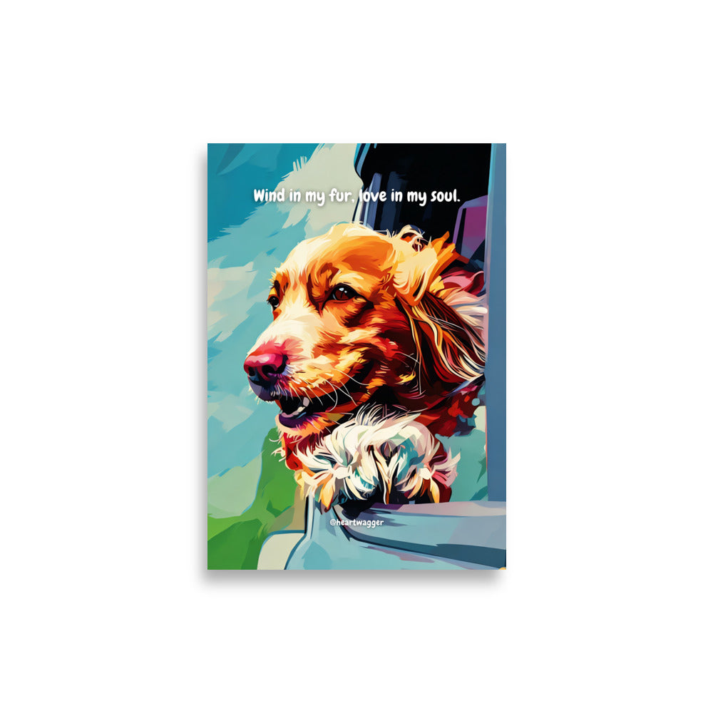 Poster - Wind in my fur, love in my soul