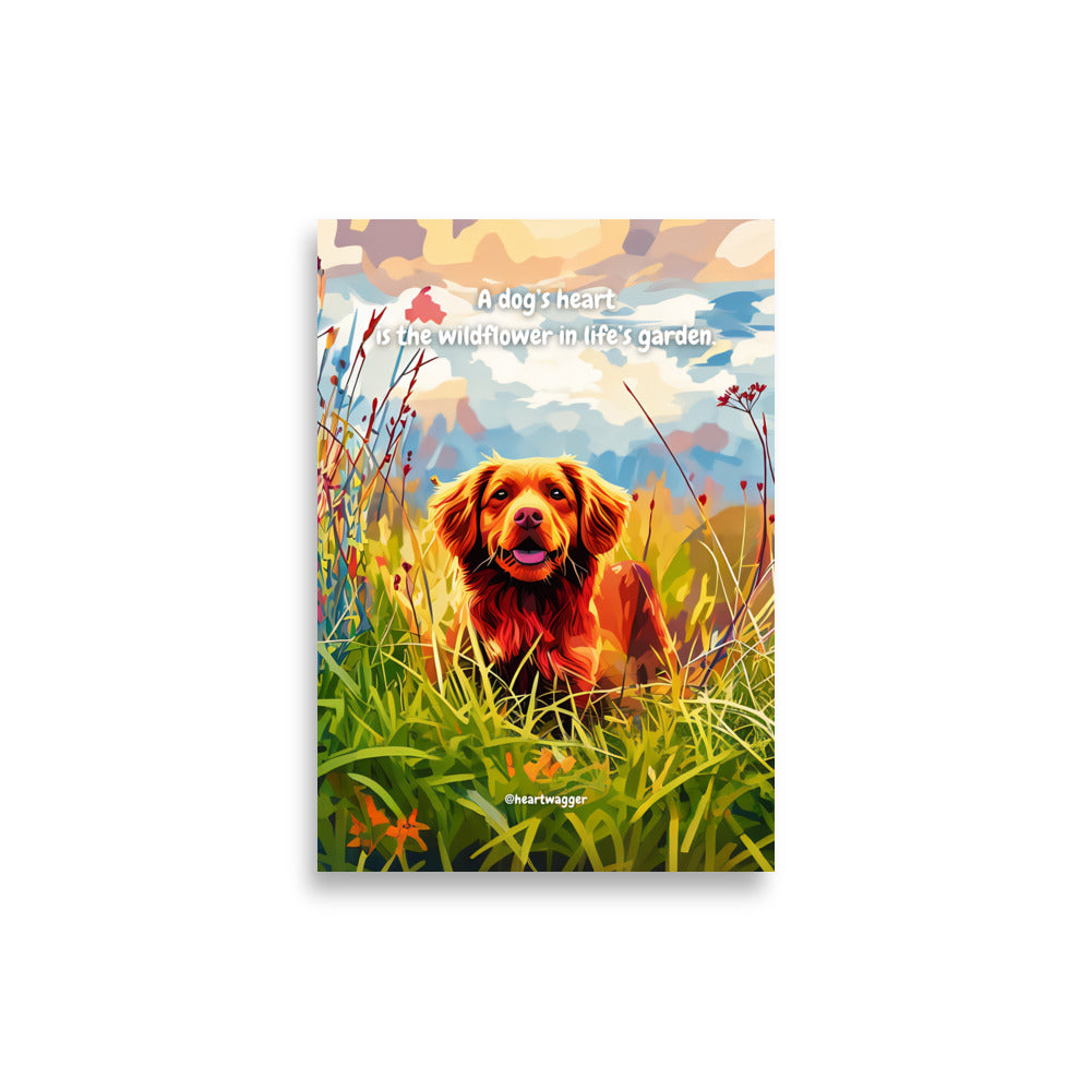 Poster - A dog’s heart is the wildflower in life’s garden