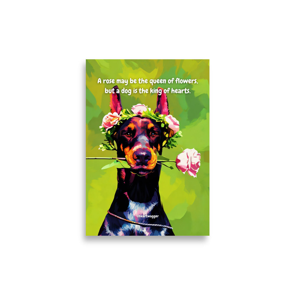 Poster - A rose may be the queen of flowers, but a dog is the king of hearts