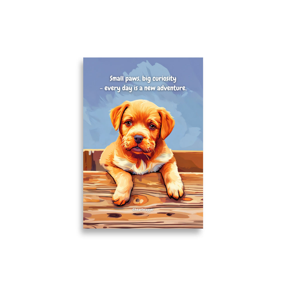 Poster - Small paws, big curiosity - every day is a new adventure