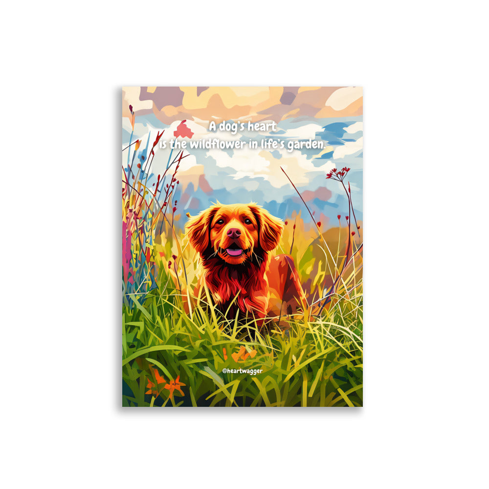 Poster - A dog’s heart is the wildflower in life’s garden