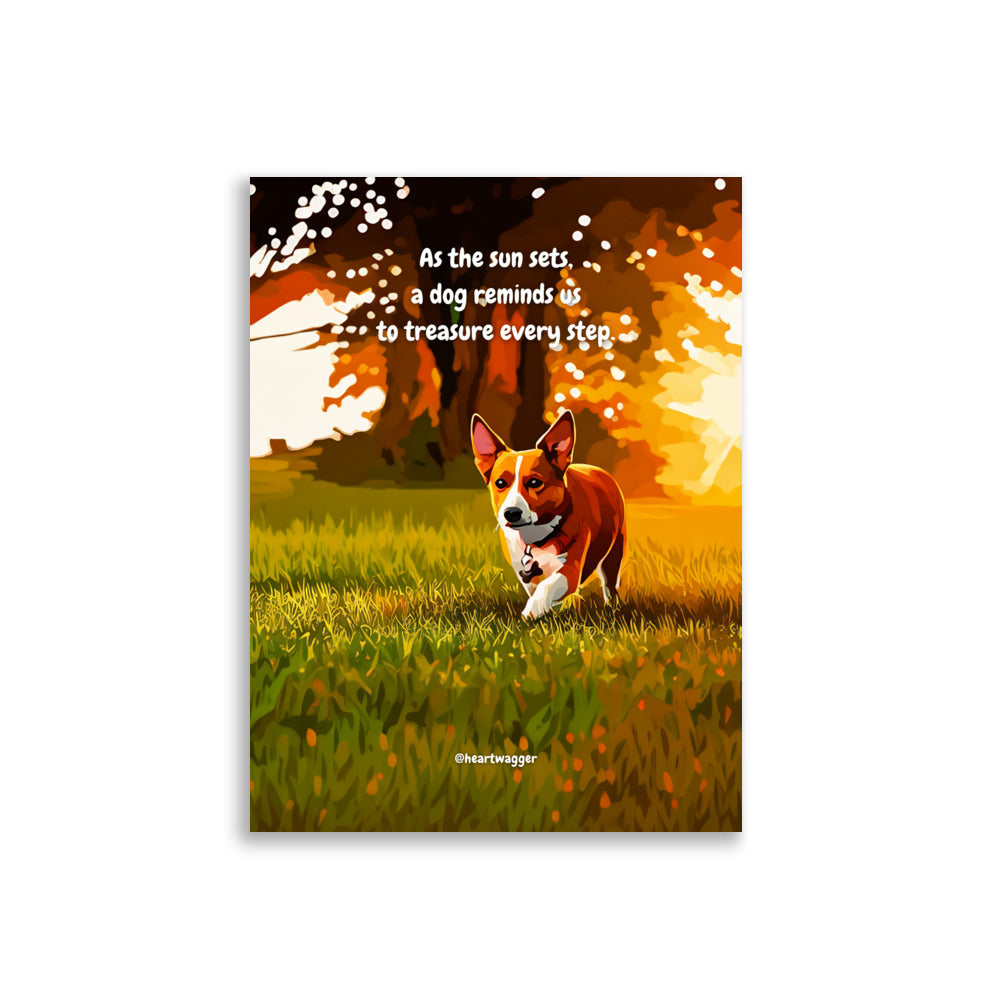 Poster - As the sun sets, a dog reminds us to treasure every step