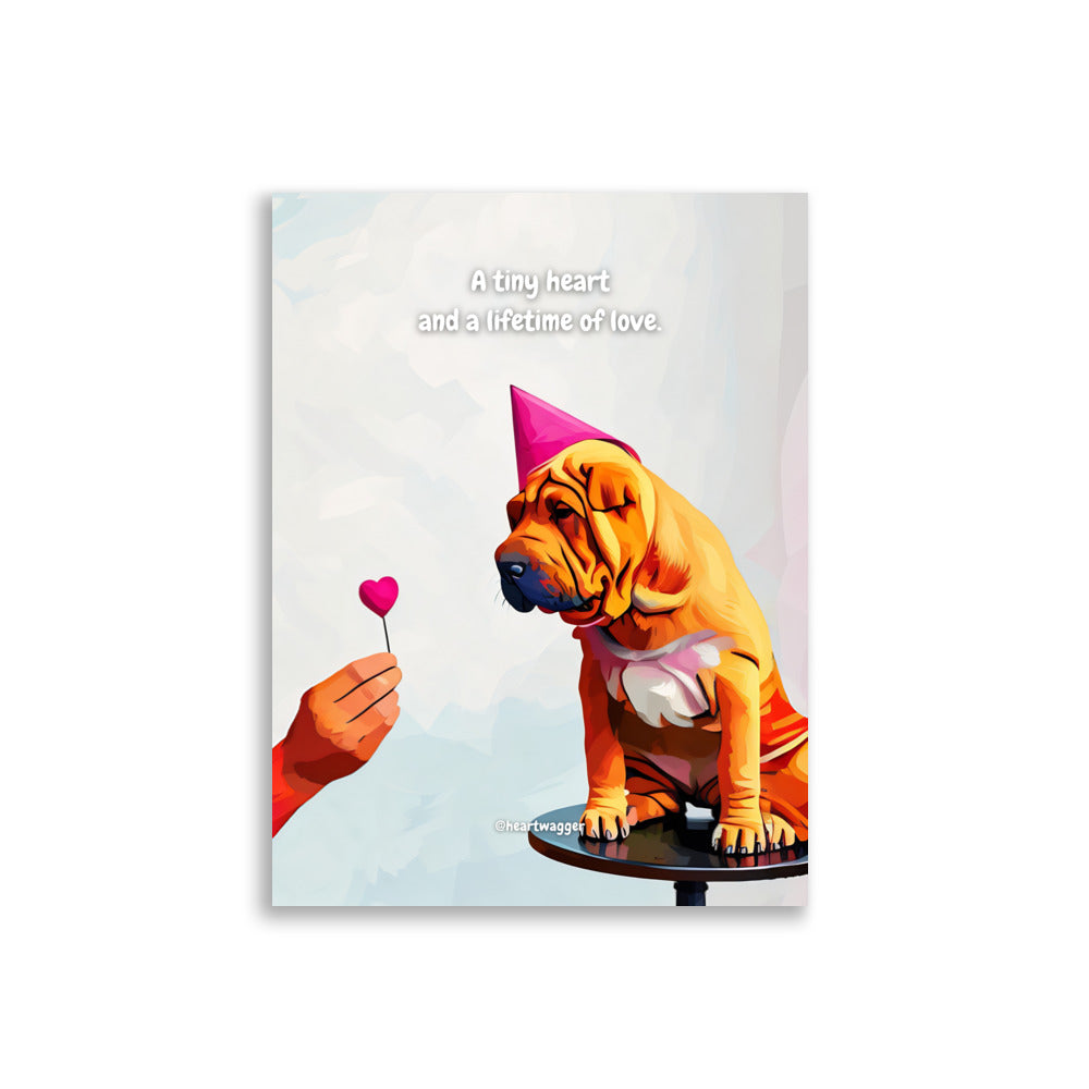 Poster - A tiny heart and a lifetime of love