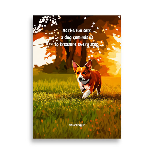 Poster - As the sun sets, a dog reminds us to treasure every step