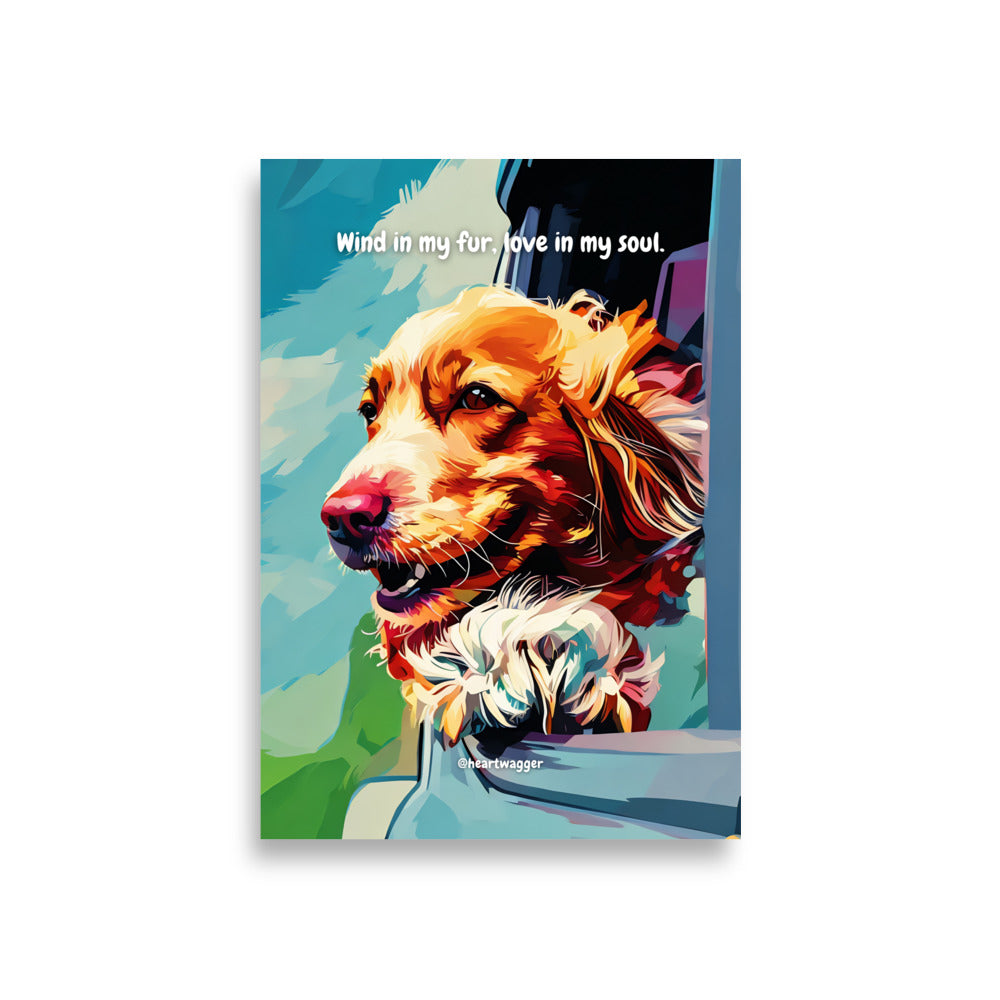 Poster - Wind in my fur, love in my soul