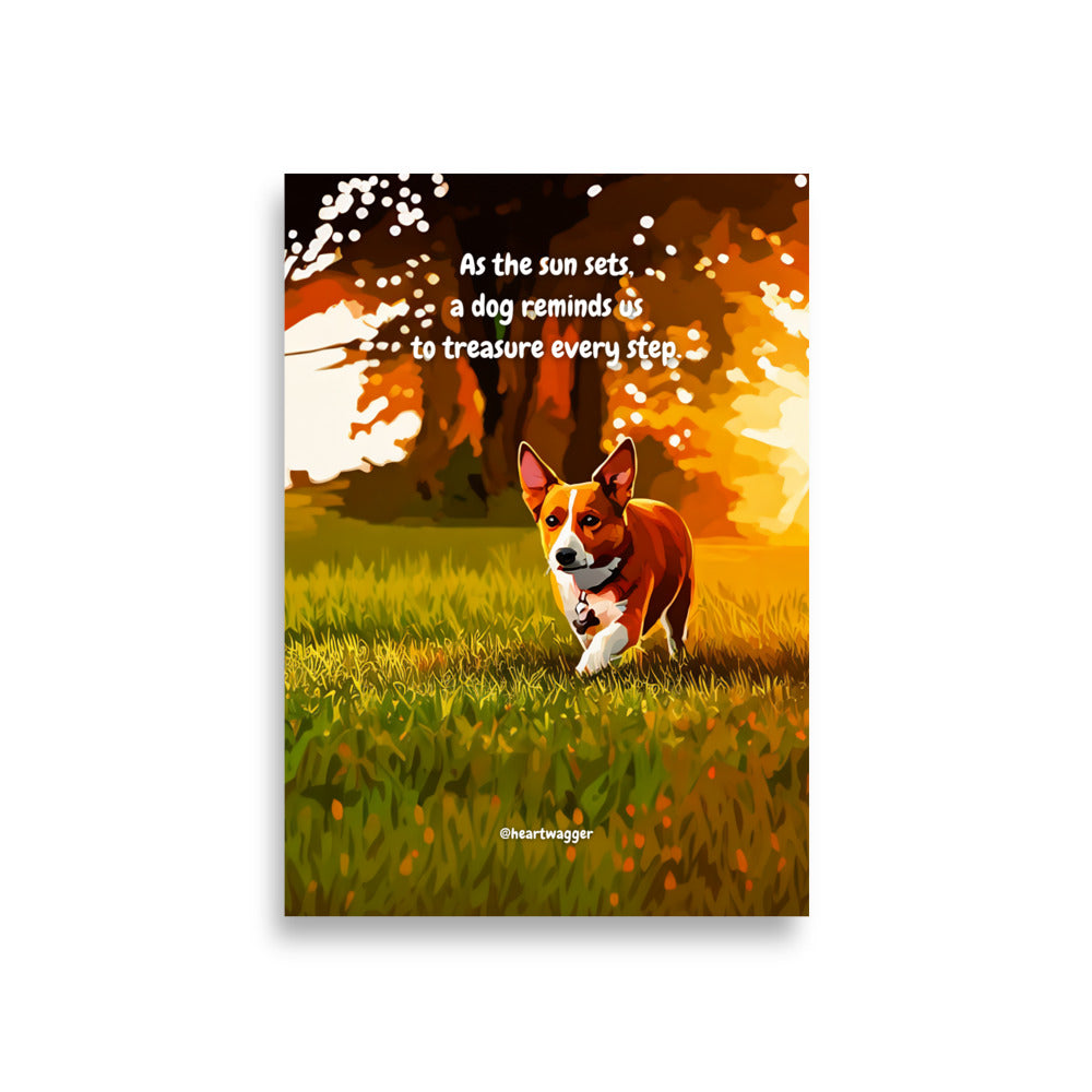 Poster - As the sun sets, a dog reminds us to treasure every step