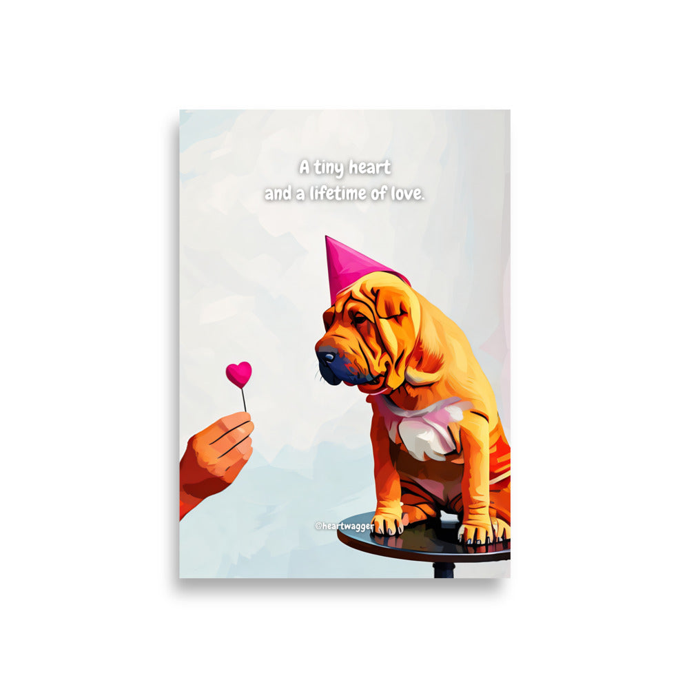 Poster - A tiny heart and a lifetime of love