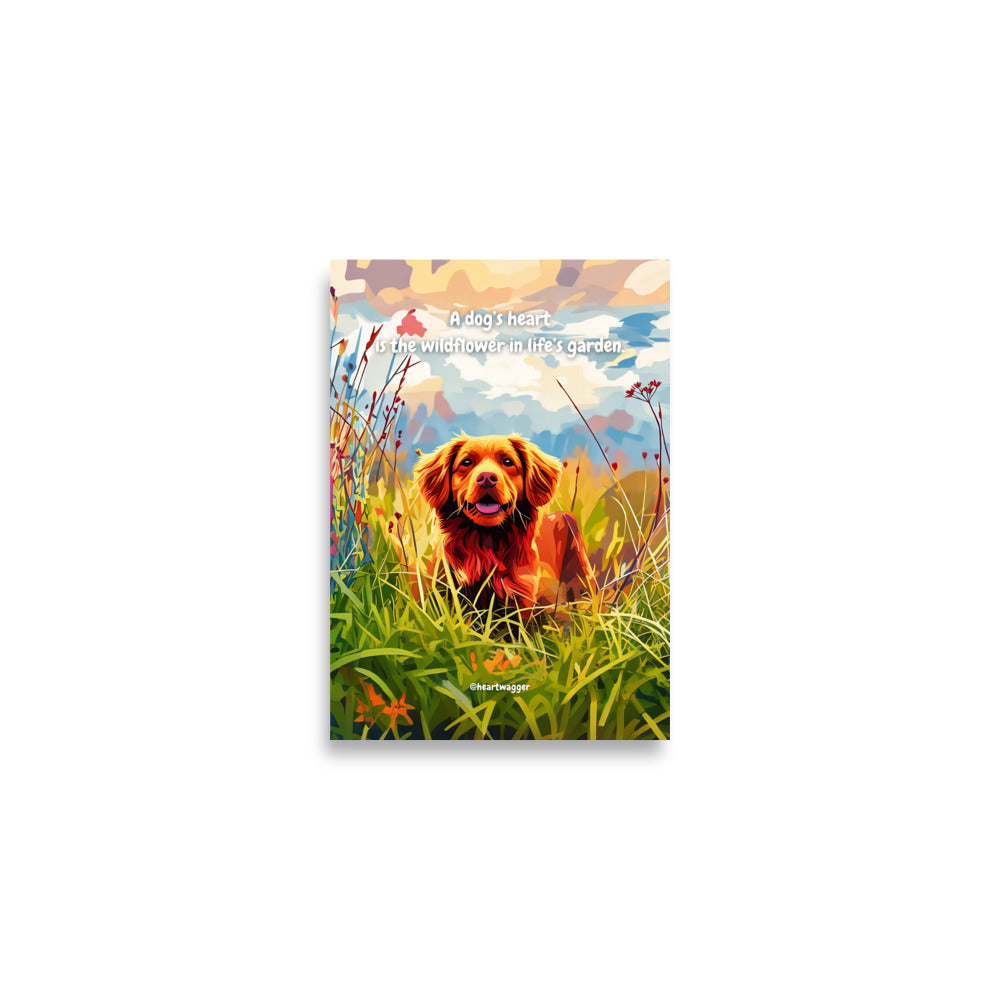 Poster - A dog’s heart is the wildflower in life’s garden