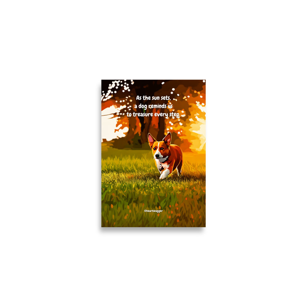 Poster - As the sun sets, a dog reminds us to treasure every step