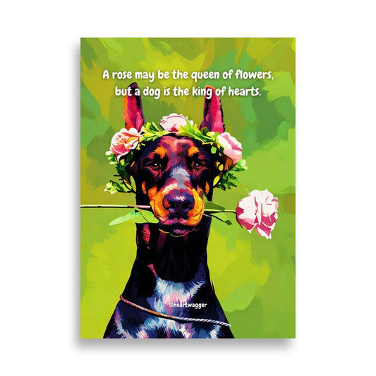 Poster - A rose may be the queen of flowers, but a dog is the king of hearts - SHALMIAK