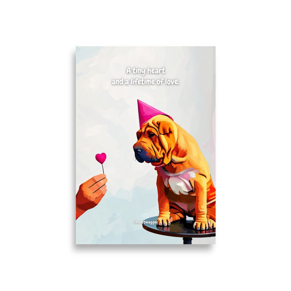 Poster - A tiny heart and a lifetime of love - SHALMIAK