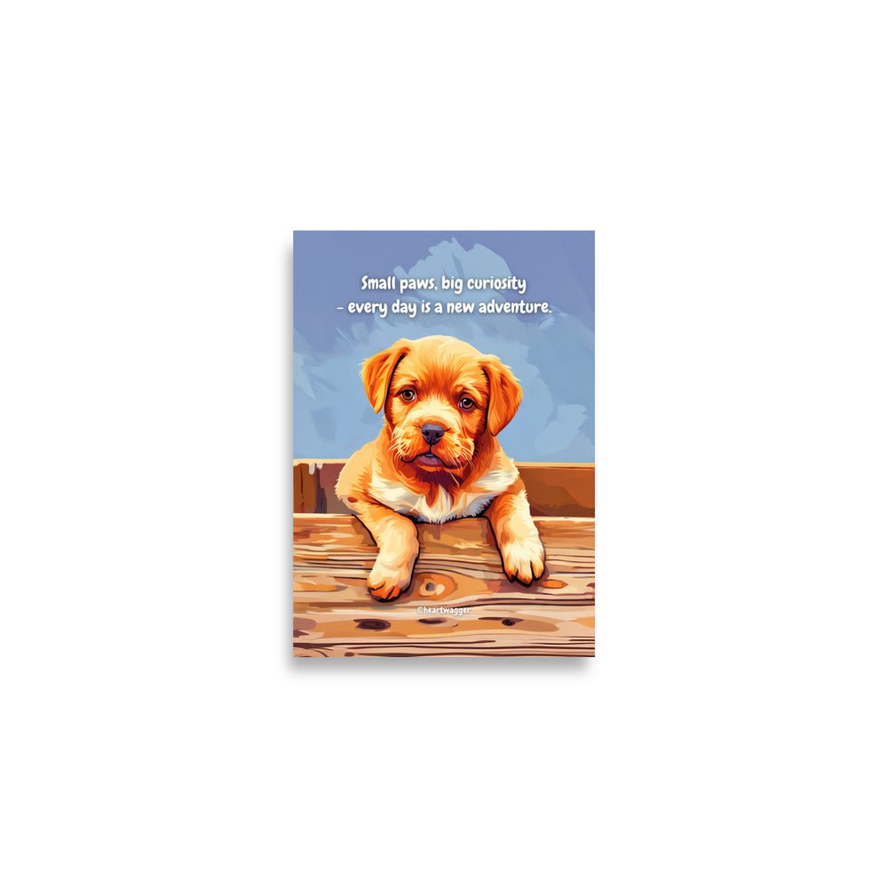 Poster - Small paws, big curiosity - every day is a new adventure A2 (42×59.4 cm)