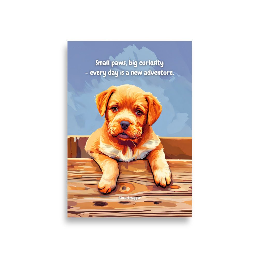 Poster - Small paws, big curiosity - every day is a new adventure