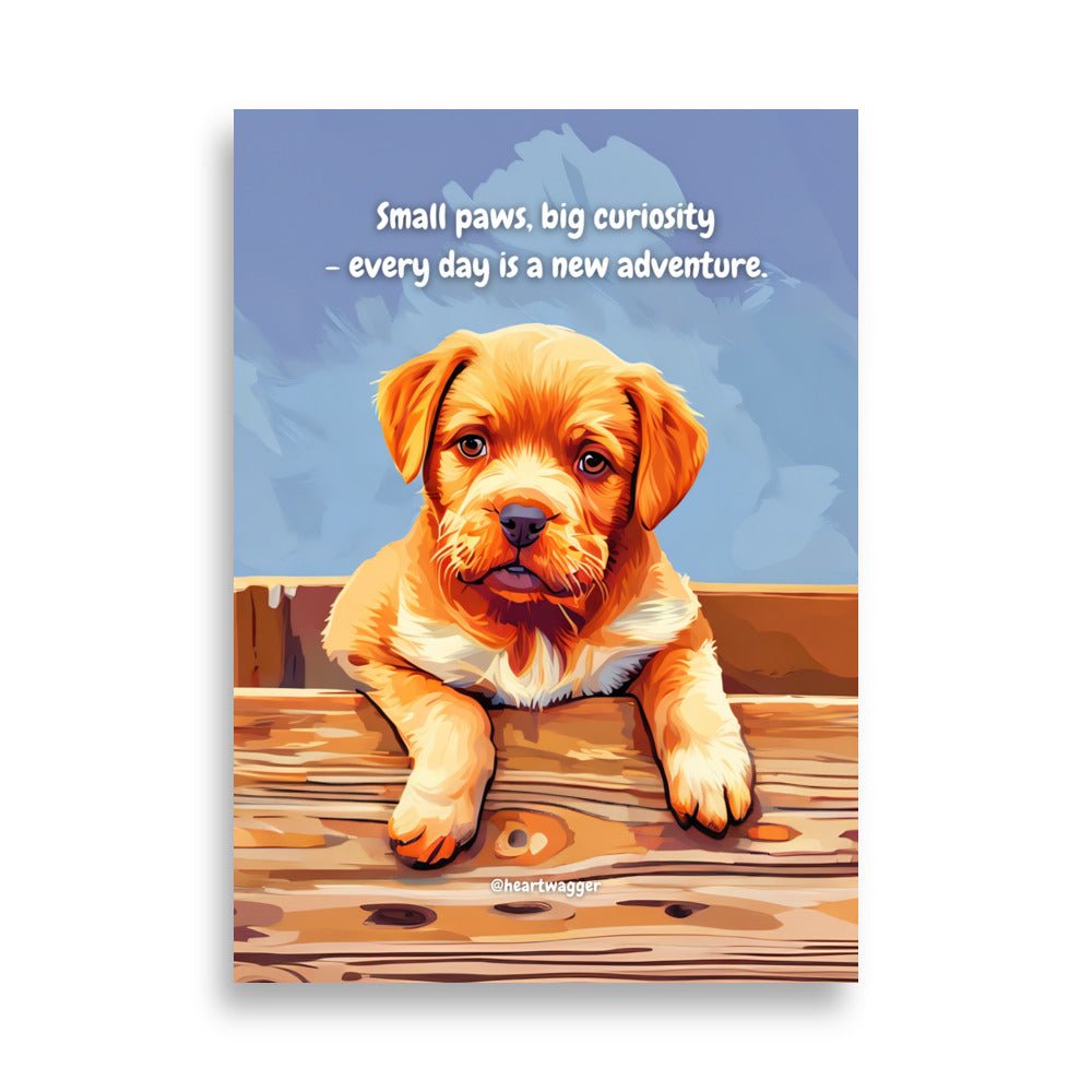 Poster - Small paws, big curiosity - every day is a new adventure 50×70 cm