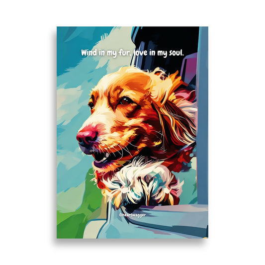 Poster - Wind in my fur, love in my soul - SHALMIAK