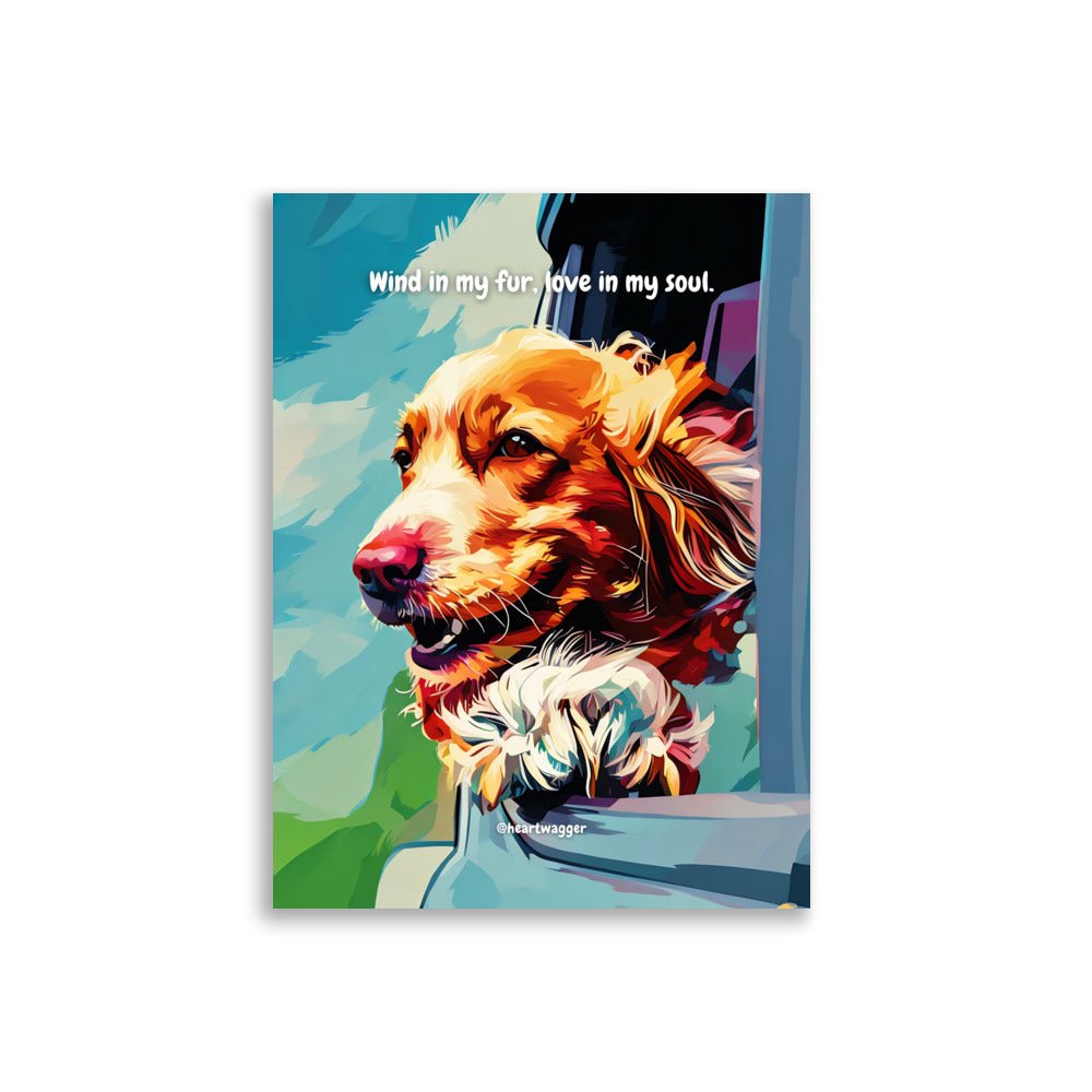 Poster - Wind in my fur, love in my soul - SHALMIAK